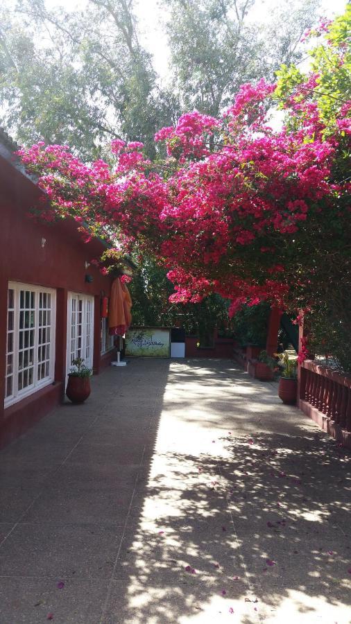 Bed and Breakfast Ferme Hippique Chtouka Dar Said Ben Hajj Esterno foto